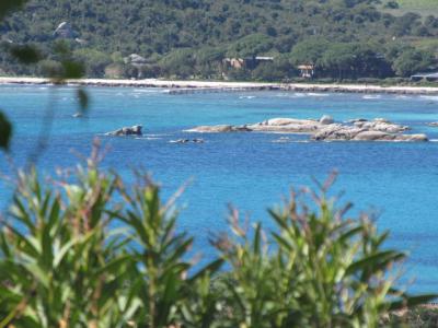 photo Rent for holidays House PORTO-VECCHIO 20