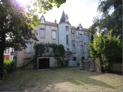 photo For sale Prestigious house ETANG-SUR-ARROUX 71